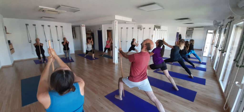 Iniciació al ioga Iyengar
